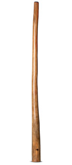 Tristan O'Meara Didgeridoo (TM328)